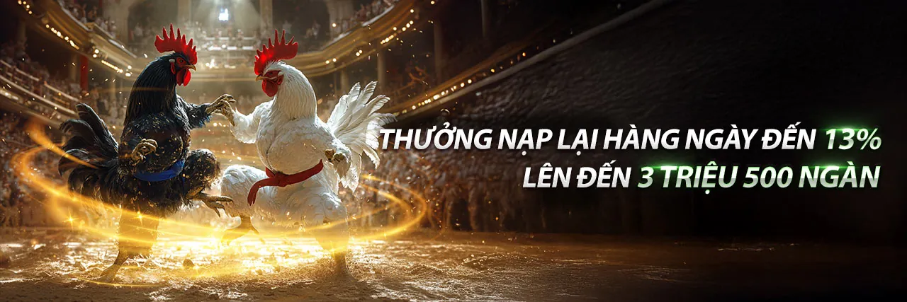 Đấu gà trực tuyến kịch tính tại Av888 Win