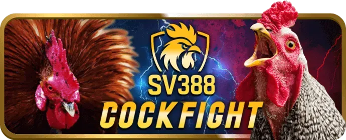 Các môn thể thao khác av888 win